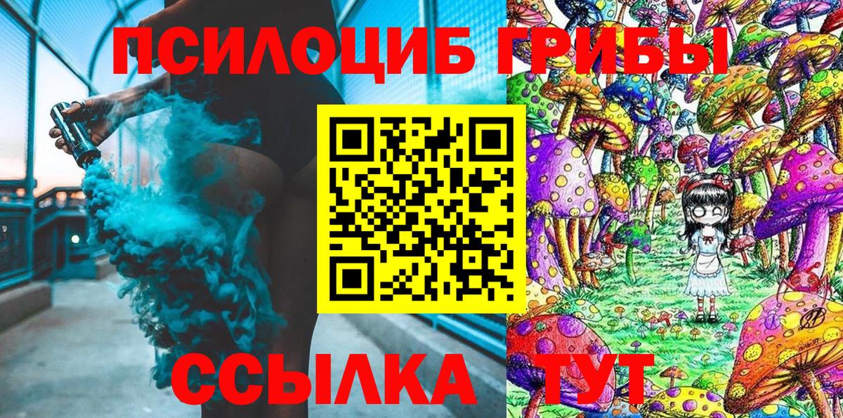 Нальчик  Галлюциногенные грибы Psilocybe  Вход с VPN 