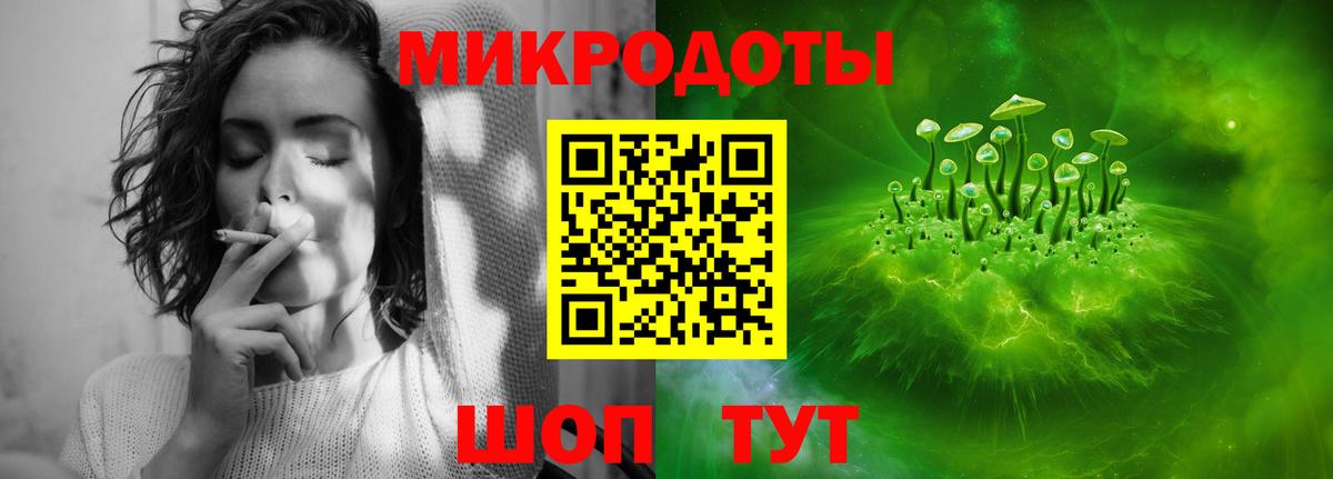 МЕФ Нальчик