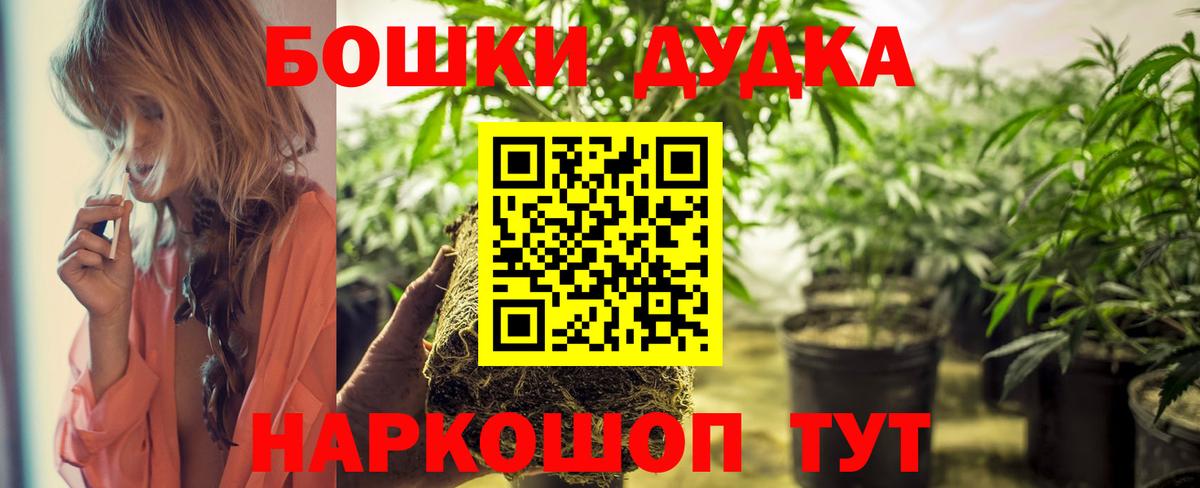 Шишки марихуана гибрид  Марихуана Bruce Banner  Вход с VPN  Нальчик  Бошки марихуана планчик 